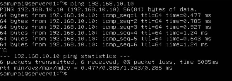 Ping_srv1