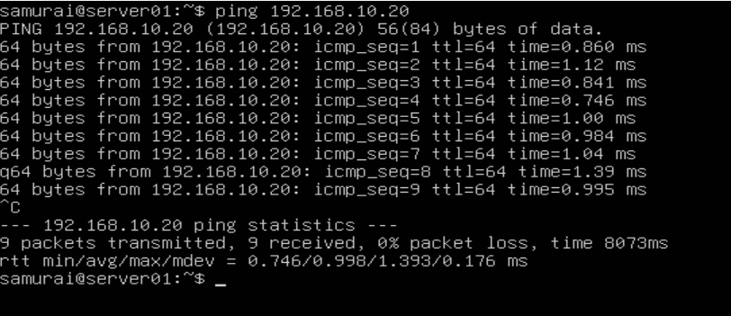 Ping_srv2