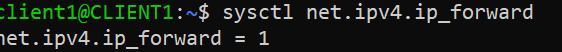 ip-forward