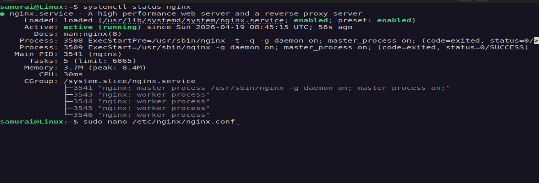 Nginx