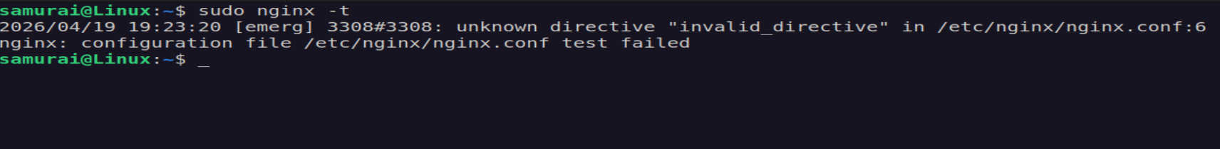 nginx_error