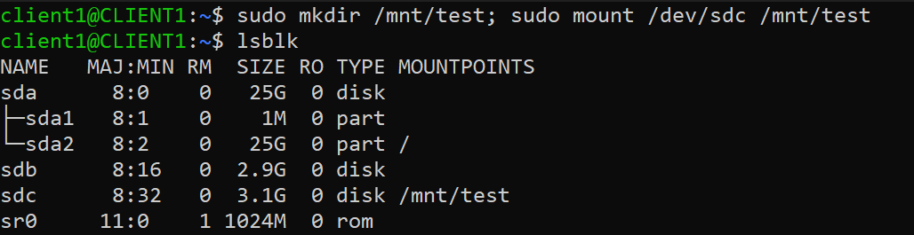mount_sdc