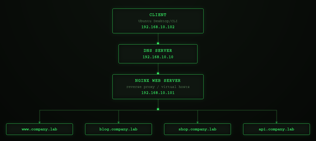 dns-topology