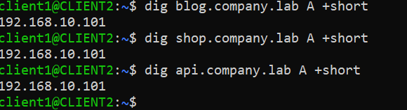 verify-dns