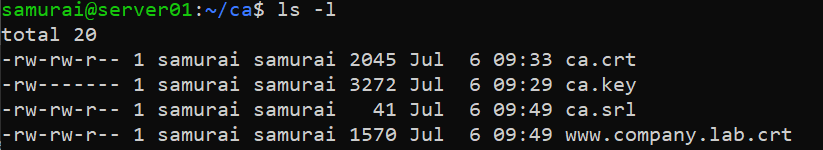 dns-list