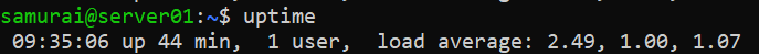 Uptime
