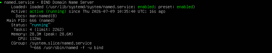 sec-dns