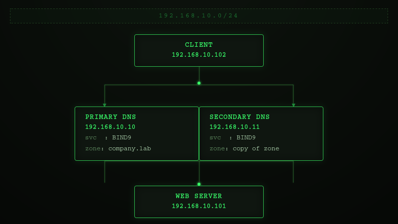 dns-tolopogy